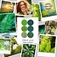 Vibrant Green Glitter Collection 6 st.