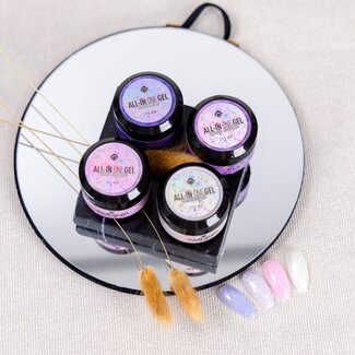 Magnetic Set All in One Gel 1, 4 stuks