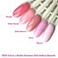 Set Gel in a Bottle Glamour Nail Gallery Smooth 5 st.