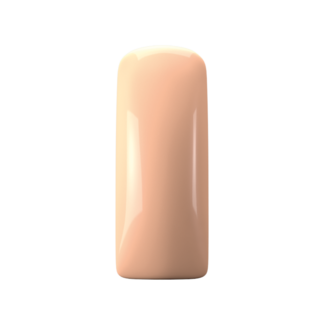 Magnetic 017 Gelpolish R&R Pink