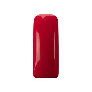 Magnetic 376 Gelpolish Mey's Choice 2019