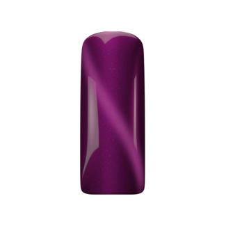 Magnetic 488 Cat Eye Gelpolish Ametrine