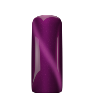Magnetic 488 Cat Eye Gelpolish Ametrine