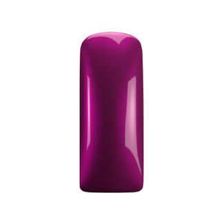 Magnetic 339 Gelpolish Purple Rain