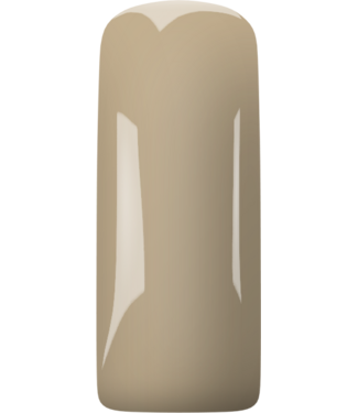 Magnetic Beige 2