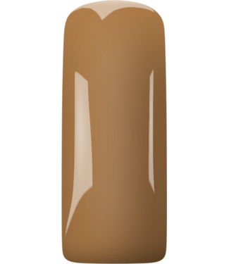 Magnetic Beige 5