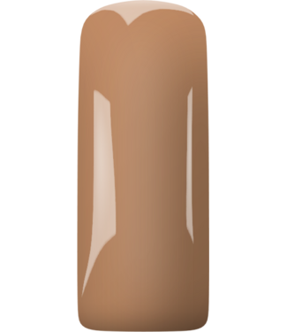 Magnetic Beige 4