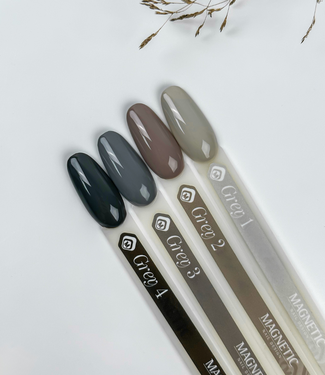 Magnetic Set 7 ml. Grey 4 st.
