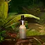 Nail and cuticle oil treat.s 10 ml