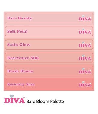 Diva Colorpop Stickers Bare Bloom Palette