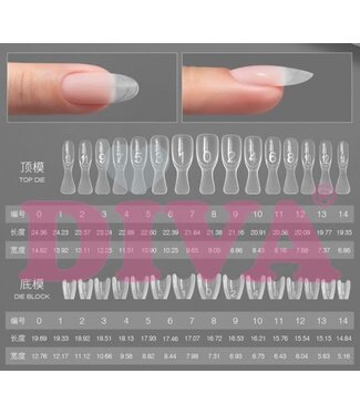 Sandwich Dual Forms Almond Short
