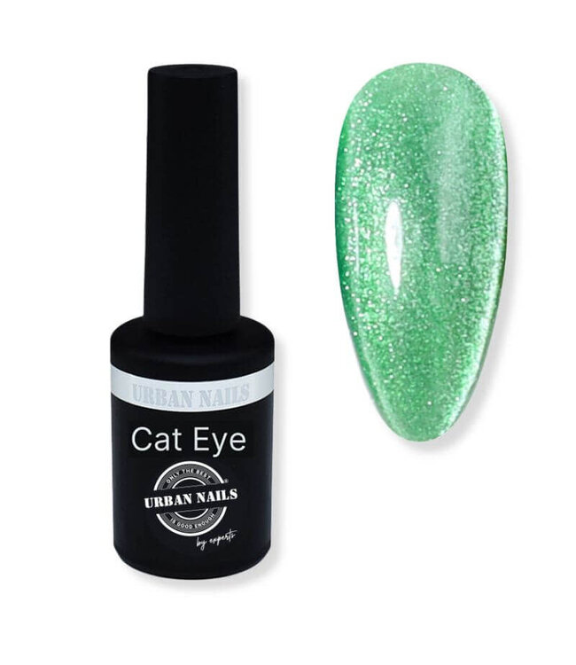 04 Opal Cat Eye Gelpolish