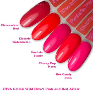 Diva Set Gellak Wild Diva's Pink and Red Affair 5 x 6 ml. + Sticker