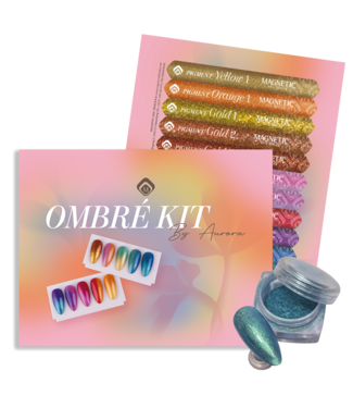 Magnetic Ombre Kit by Aurora - 12 pigmenten