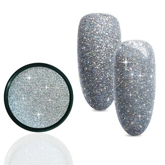 Urban Nails Reflective Holo Silver