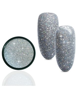 Urban Nails Reflective Holo Silver