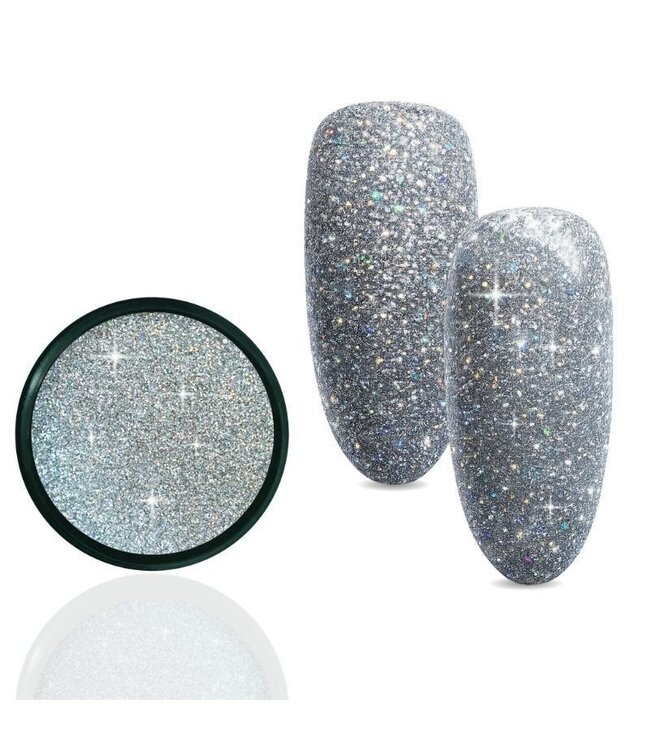 Reflective Holo Silver