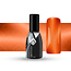 Magnetic Gelpolish 7 ml. Glass 3