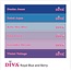 Diva Colorpop Stickers Royal Blue & Berry