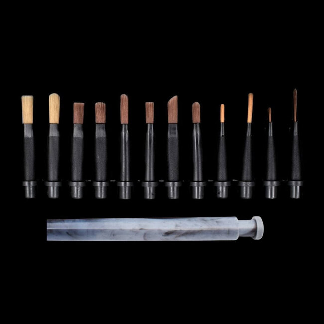 Brush Box 12 st.