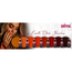 Set Gellak Spicy Earth Diva Shades 8 st. 10 ml. + Gratis Colorpop Stickers