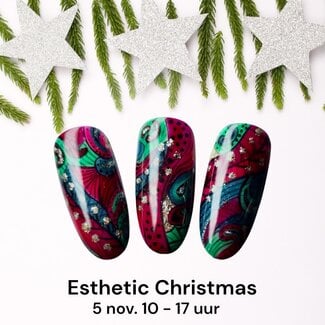 Workshop Esthetic Christmas