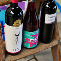 Discovery wine pack #6
