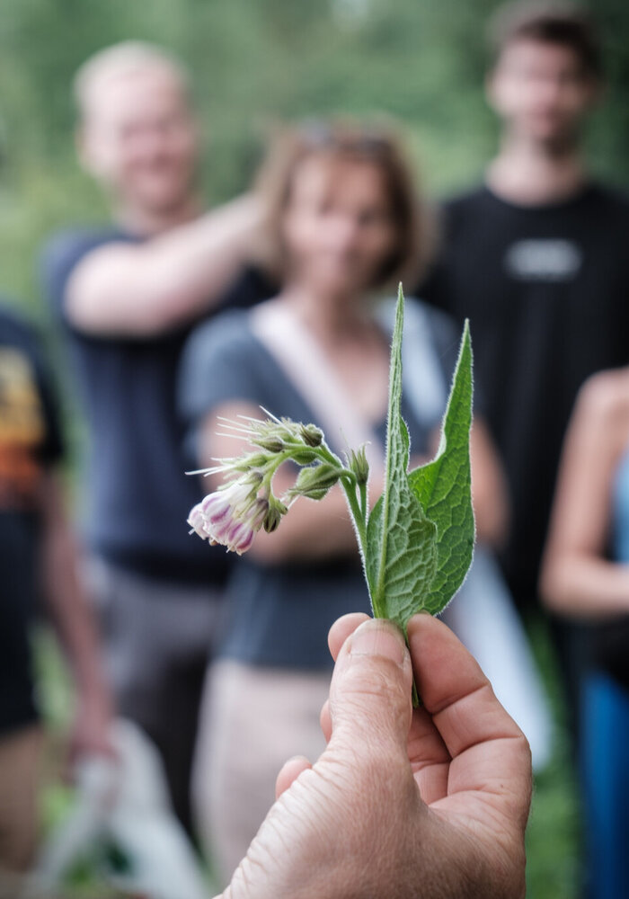 Ratafia workshop 2026 · Saturday July 11
