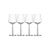 Iittala Set van 4 rode wijnglazen Essence