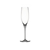 Set van 4 champagneglazen Authentis 19 cl