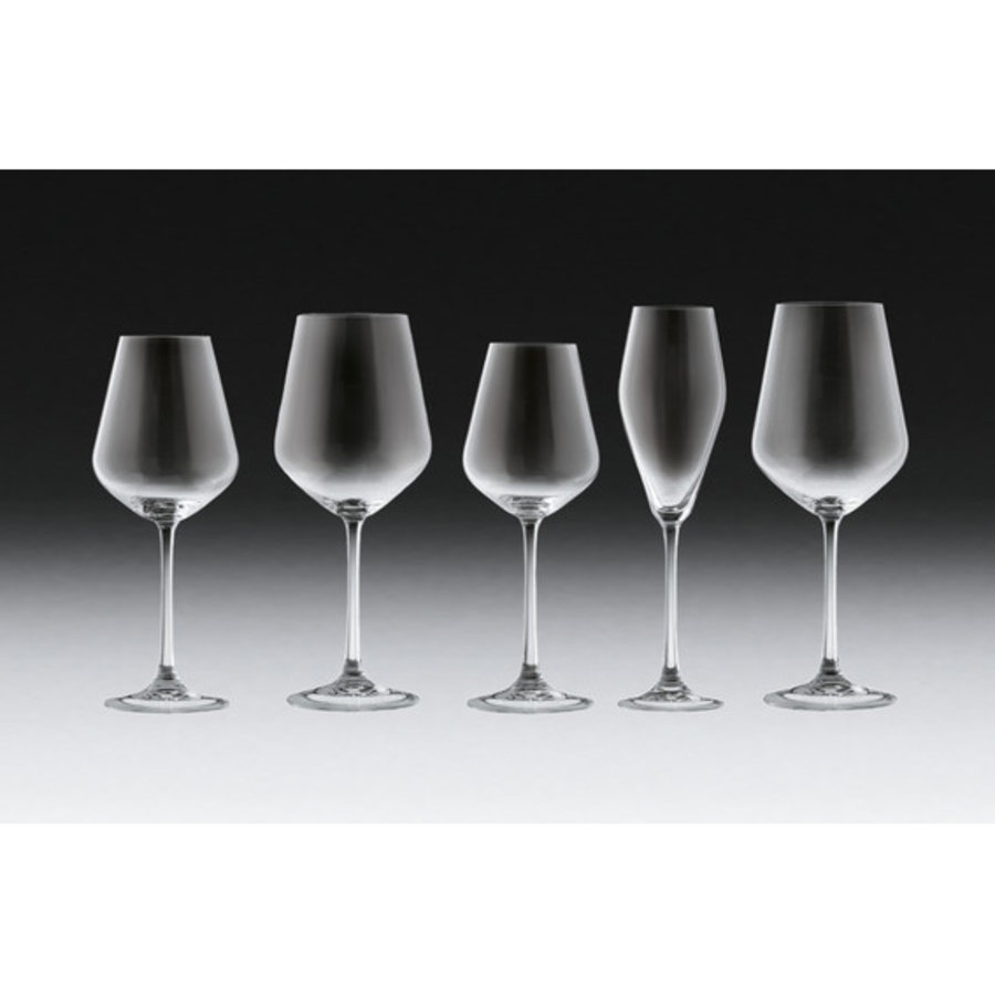 Set van 4 champagnefluten La Divina 26 cl 252 mm-2