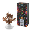 Alessi Parfum diffuser The Five Seasons wit Hmmm