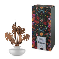 Parfum diffuser The Five Seasons wit Hmmm