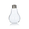 Vaas Bulb Edison L 24 cm