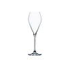 Set van 6 Party Champagneglas 23 cl