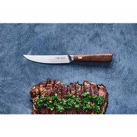 thumb-Set 6 steakmessen 20 cm Crafts Couteaux & Co-1