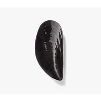 thumb-Schaal Marcel mossel zwart porselein 30x14 cm Les Objets Mouleversants - Wouters & Hendrix-5