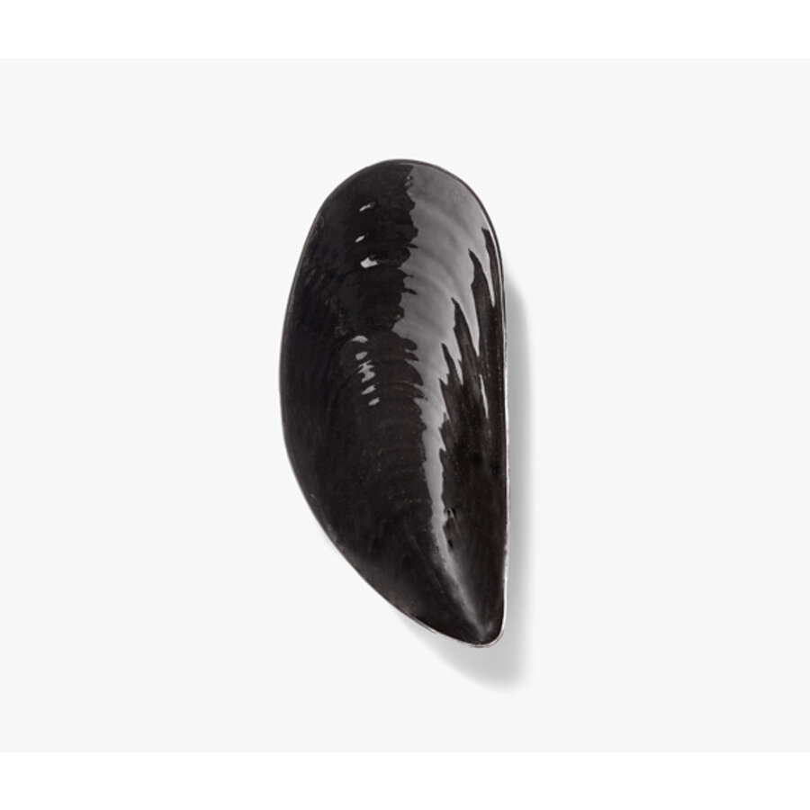 Schaal Marcel mossel zwart porselein 30x14 cm Les Objets Mouleversants - Wouters & Hendrix-5