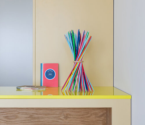  Remember Stickado behendigheidsspel : 50 stokjes in 6 kleuren met 1 ring of als designobject 