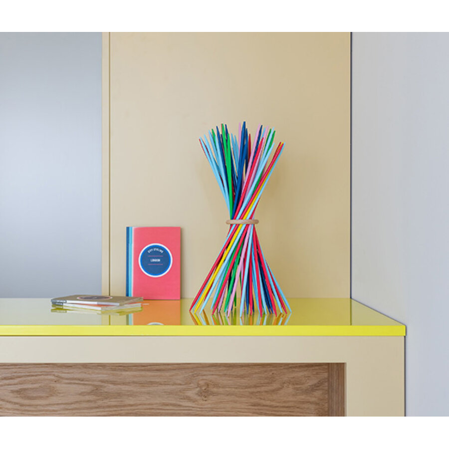 Behendigheidsspel Stickado: 50 stokjes in 6 kleuren met 1 ring of als designobeject-1