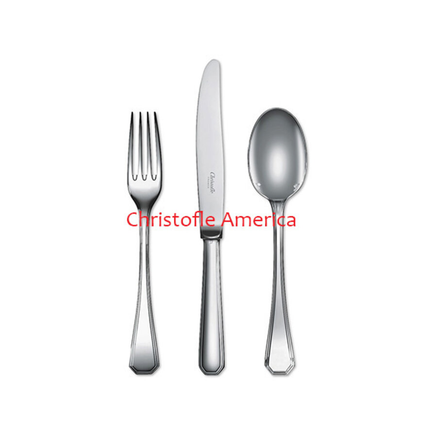 Dienlepel en dienvork America verzilverd-1