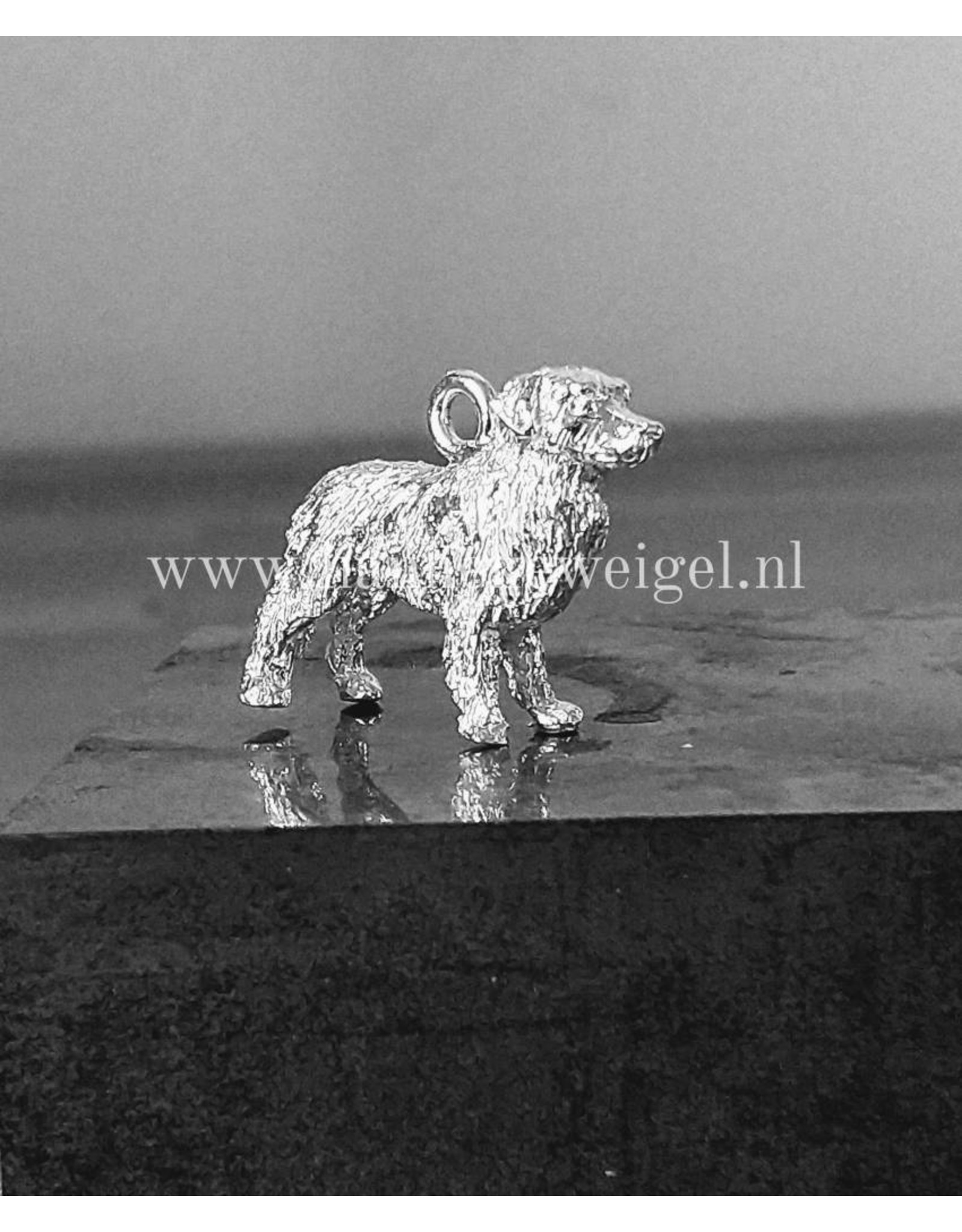 Handmade by Hanneke Weigel Sterling silver Nova scotia duck tolling retriever