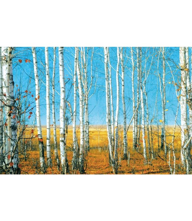 Glasschilderij berken 120 x 80 cm