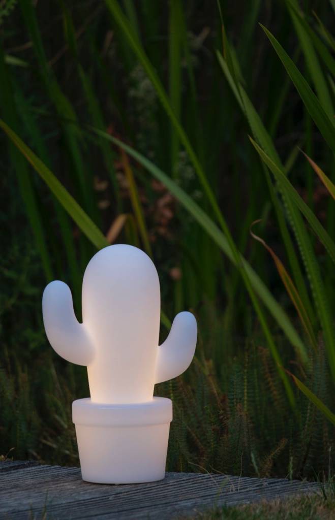 Persoonlijk Zij zijn gebed Lucide Draadloze buitenlamp Cactus LED oplaadbaar - Homecompanyshop.nl