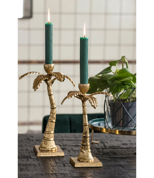 Kandelaar Taxa zwart of goud