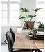 DTP Home Timeless Eettafel Curves