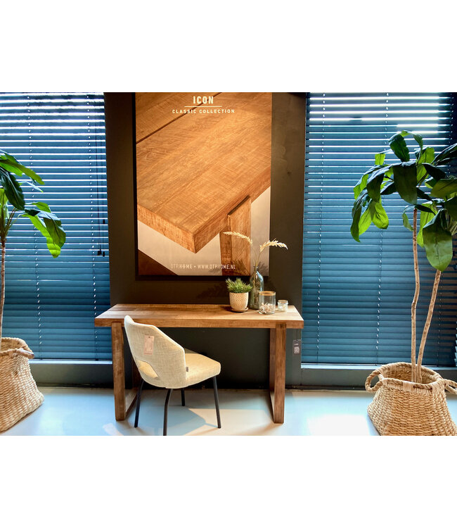 DTP Home wandtafel en bureau Icon