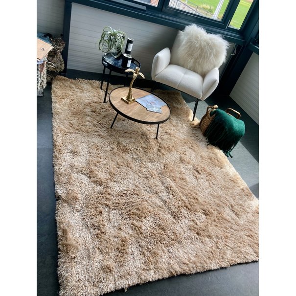 HG Carpets Vloerkleed Shaggy beige 160 x 230 cm