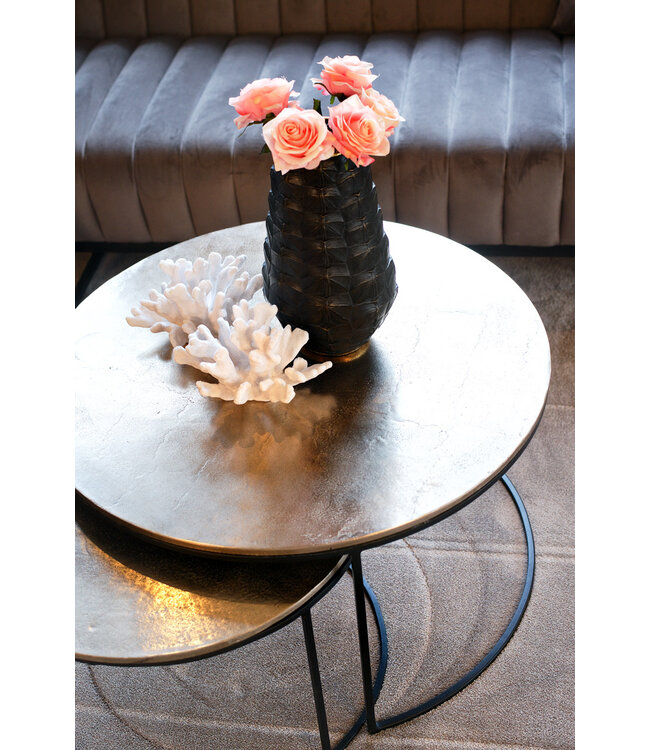 Richmond Interiors salontafel Asher set van 2 (Champagne gold)