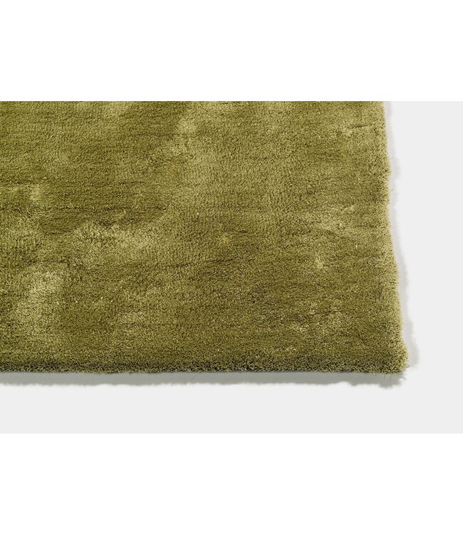 Lifestyle Interior Vloerkleed CISCO Mosgroen